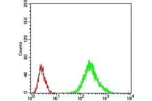 Flow cytometric analysis of Jurkat cells using RANBP9 mouse mAb (green) and negative control (red). (Importin 9 antibody  (AA 453-680))