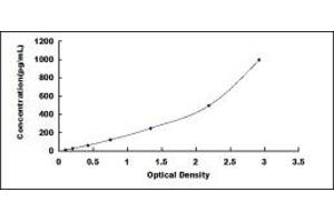 Typical standard curve (CXCL3 ELISA Kit)