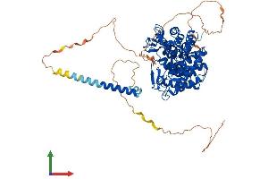 AlphaFold protein structure predicition of Human Recombinant MAN1B1 Protein, UniprotID Q9UKM7