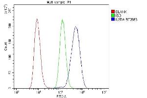 Flow Cytometry analysis of Raji cells using anti-IL3RA antibody (ABIN7599742).