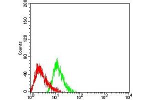 Flow cytometric analysis of HL-60 cells using CD275 mouse mAb (green) and negative control (red). (ICOSLG antibody  (AA 19-256))