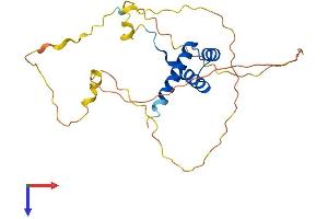 AlphaFold protein structure predicition of Human Recombinant HOXB9 Protein, UniprotID P17482 (HOXB9 Protein (AA 1-250) (His tag))