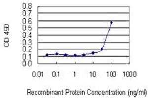 Detection limit for recombinant GST tagged VPS16 is 3 ng/ml as a capture antibody. (VPS16 antibody  (AA 754-839))