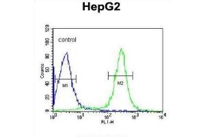Flow Cytometry (FACS) image for anti-Inter-alpha Globulin Inhibitor H2 Polypeptide (ITIH2) antibody (ABIN3002765)