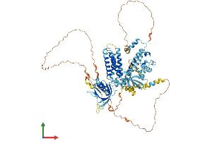 AlphaFold protein structure predicition of Human Recombinant CNKSR1 Protein, UniprotID Q969H4 (CNKSR1 Protein (AA 1-720) (His tag))