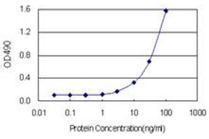 Sandwich ELISA detection sensitivity ranging from 1 ng/mL to 100 ng/mL. (NQO1 (Human) Matched Antibody Pair)