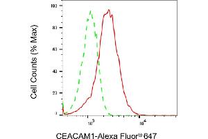 Flow cytometric analysis of CEACAM1 expression in A549 cells using CEACAM1 antibody (ABIN7797874), 1:2,000).