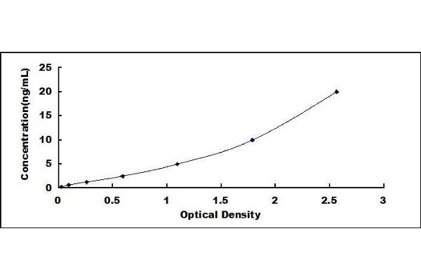 IRF1 ELISA Kit