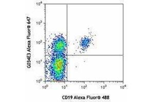 Flow Cytometry (FACS) image for anti-Chemokine (C-C Motif) Receptor 6 (CCR6) antibody (Alexa Fluor 647) (ABIN2657669) (CCR6 antibody  (Alexa Fluor 647))