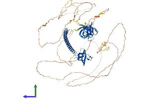 Protein Structure (PS) image for SH3-Domain Kinase Binding Protein 1 (SH3KBP1) (AA 1-709) protein (His tag) (ABIN7564716)