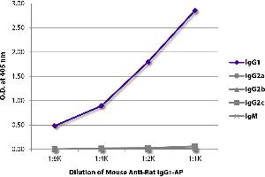 ELISA plate was coated with purified rat IgG1, IgG2a, IgG2b, IgG2c, and IgM. (Mouse anti-Rat IgG1 (Fc Region) Antibody (Alkaline Phosphatase (AP)))