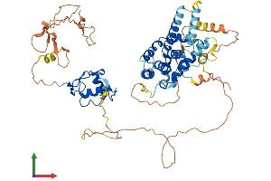 Protein Structure (PS) image for Nuclear Receptor Subfamily 2, Group C, Member 2 (NR2C2) (AA 1-596) protein (His tag) (ABIN7563332)