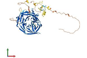 AlphaFold protein structure predicition of Human Recombinant RAG2 Protein, UniprotID P55895 (RAG2 Protein (AA 1-527) (His tag))