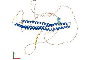 AlphaFold protein structure predicition of Mouse Recombinant Bin2 Protein, UniprotID D3Z6Q9