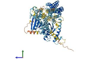 AlphaFold protein structure predicition of Mouse Recombinant Nuggc Protein, UniprotID D3YWJ0