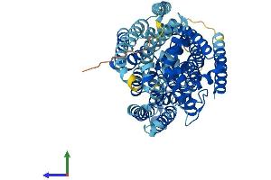 AlphaFold protein structure predicition of Human Recombinant SLC5A10 Protein, UniprotID A0PJK1 (SLC5A10 Protein (AA 1-596) (His tag))