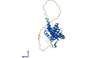 Protein Structure (PS) image for Nonhomologous End-Joining Factor 1 (NHEJ1) (AA 1-295) protein (His tag) (ABIN7557036)