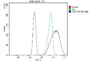Flow Cytometry analysis of CACO-2 cells using anti-HSD17B2 antibody (ABIN7602828). (HSD17B2 antibody  (C-Term))