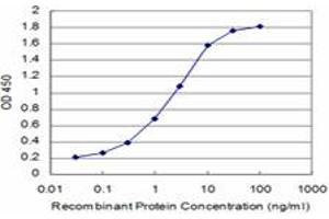 Detection limit for recombinant GST tagged SMG1 is approximately 0. (SMG1 antibody  (AA 2922-3031))