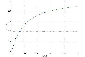 Caspase 2, Apoptosis-Related Cysteine Peptidase (CASP2) ELISA Kit