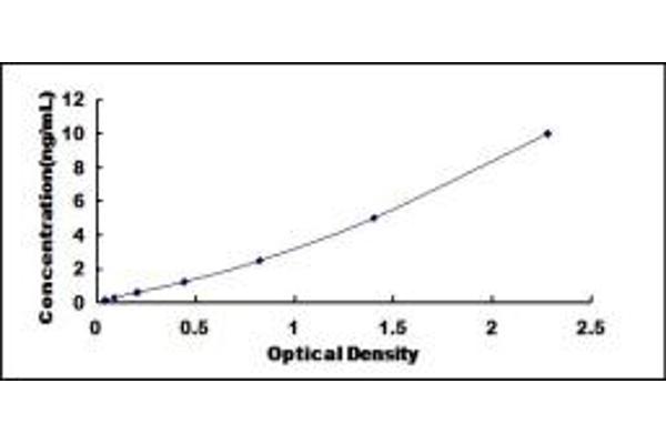 Acylglycerol Kinase ELISA Kit