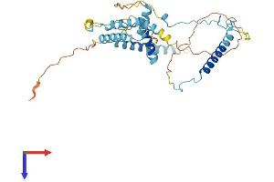 MBIP Protein (AA 1-344) (His tag)