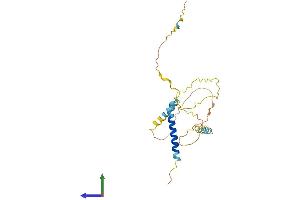 AlphaFold protein structure predicition of Human Recombinant BNIP3L Protein, UniprotID O60238