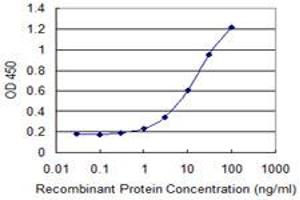 Detection limit for recombinant GST tagged CLEC1A is 0. (CLEC1A antibody  (AA 1-280))