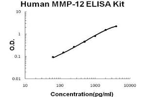 Human MMP-12 PicoKine ELISA Kit standard curve