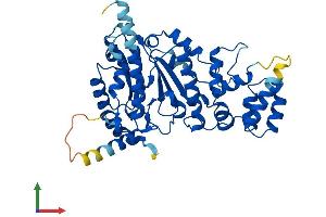 AlphaFold protein structure predicition of Mouse Recombinant Prim1 Protein, UniprotID P20664 (PRIM1 Protein (AA 1-417) (His tag))