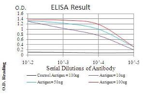 Black line: Control Antigen (100 ng), Purple line: Antigen(10 ng), Blue line: Antigen (50 ng), Red line: Antigen (100 ng), (CBX1 antibody  (AA 1-185))