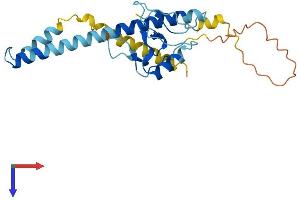 Protein Structure (PS) image for THAP Domain Containing, Apoptosis Associated Protein 2 (THAP2) (AA 1-228) protein (His tag) (ABIN7544343)