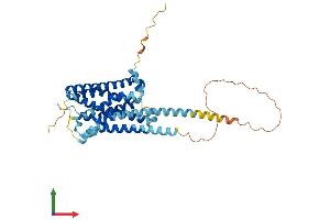 AlphaFold protein structure predicition of Human Recombinant HRH4 Protein, UniprotID Q9H3N8 (HRH4 Protein (AA 1-390) (His tag))