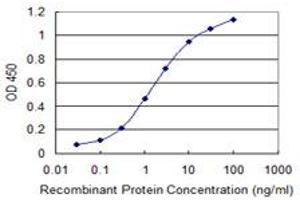 Detection limit for recombinant GST tagged DHX8 is 0. (DHX8 antibody  (AA 301-400))