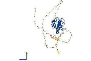 AlphaFold protein structure predicition of Mouse Recombinant Tspyl4 Protein, UniprotID Q8VD63 (TSPY-Like 4 Protein (TSPYL4) (AA 1-406) (His tag))