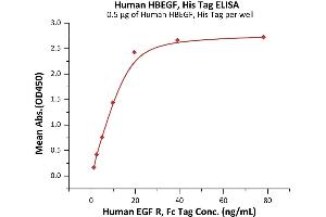 Immobilized Human HBEGF, His Tag (ABIN6992347) at 5 μg/mL (100 μL/well) can bind Human EGF R, Fc Tag (ABIN2181001,ABIN2181000) with a linear range of 1-20 ng/mL (QC tested).