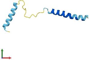 Protein Structure (PS) image for Stress-Associated Endoplasmic Reticulum Protein Family Member 2 (SERP2) (AA 1-65) protein (Fc Tag) (ABIN7546043)