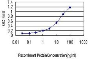 Detection limit for recombinant GST tagged CAMK1 is approximately 0. (CAMK1 antibody  (AA 271-370))