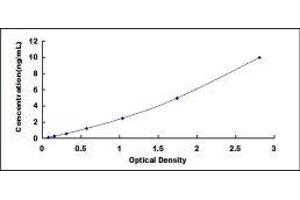 ELISA image for Uracil phosphoribosyltransferase (FUR1) Homolog (UPRT) ELISA Kit (ABIN1383628)