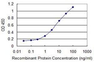 Detection limit for recombinant GST tagged TSC22D1 is 0. (TSC22D1 antibody  (AA 1-144))