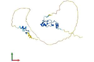 AlphaFold protein structure predicition of Human Recombinant ZFAND3 Protein, UniprotID Q9H8U3