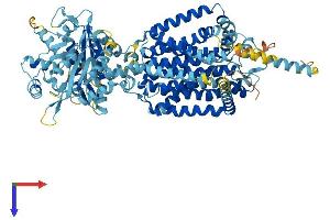 AlphaFold protein structure predicition of Mouse Recombinant Ptchd4 Protein, UniprotID B9EKX1 (PTCHD4 Protein (AA 1-904) (His tag))