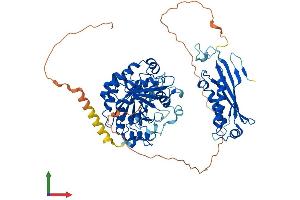 Protein Structure (PS) image for Molybdenum Cofactor Synthesis 1 (MOCS1) (AA 1-636) protein (His tag) (ABIN7549471)