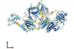 AlphaFold protein structure predicition of Human Recombinant AVIL Protein, UniprotID O75366 (Advillin Protein (AVIL) (AA 1-819) (His tag))