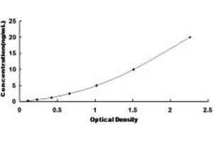Typical standard curve (Smoothelin ELISA Kit)