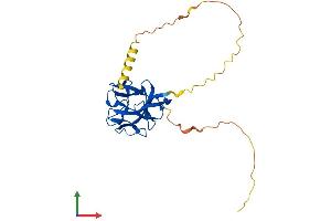 Protein Structure (PS) image for Fibroblast Growth Factor 14 (FGF14) (AA 1-247) protein (His tag) (ABIN7547570)