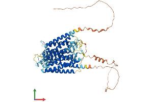 Protein Structure (PS) image for Otopetrin 1 (OTOP1) (AA 1-612) protein (His tag) (ABIN7550434)