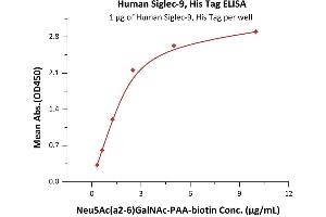 ELISA image for Sialic Acid Binding Ig-Like Lectin 9 (SIGLEC9) (AA 18-348) (Active) protein (His tag) (ABIN6951004)