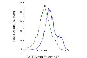 Validation of DUT knockdown using flow cytometry.