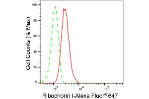 Flow cytometric analysis of Ribophorin I expression in HT- cells using Ribophorin I antibody (ABIN7800214), 1:2,000). (Recombinant RPN1 antibody)
